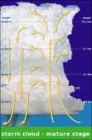 mature-thunderstorm-cell