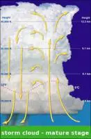 mature-thunderstorm-cell