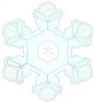 snowflake-4