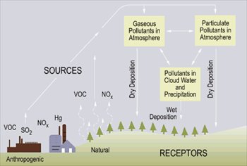 cause-of-acid-rain