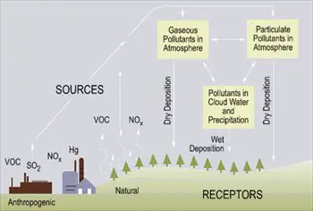 cause-of-acid-rain