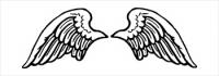Angelwings1