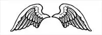 Angelwings1