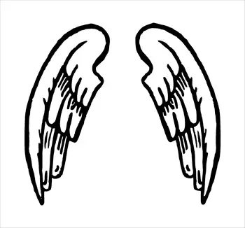 Angelwings2