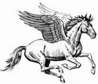 Pegasus