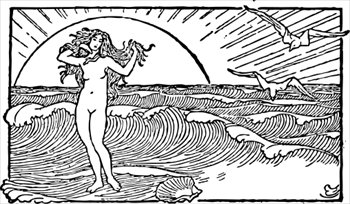 Venus-and-the-half-shell