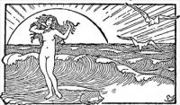 Venus-and-the-half-shell