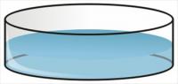petri-dish
