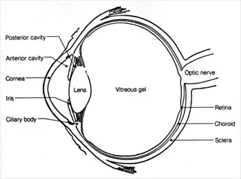 eye-diagram