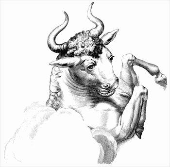 taurus