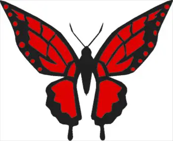 butterfly-16