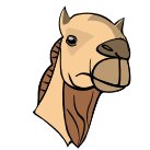 camel-head