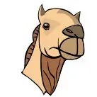 camel-head