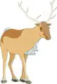 Caribou-2