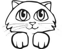 cat-08