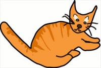 orange-brown-cat