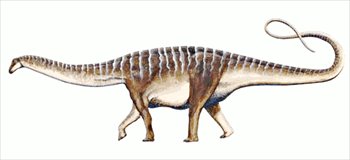 Amazonsaurus