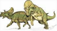 Avaceratops-dinosaur