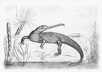 Mystriosuchus