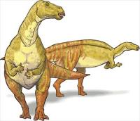 Nanyangosaurus-dinosaur