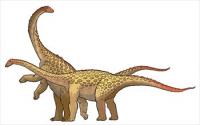 Saltasaurus-dinosaur