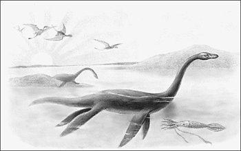 plesiosaurus