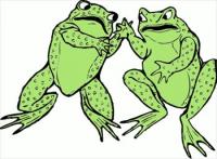two-frogs