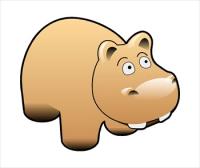 hippo-5