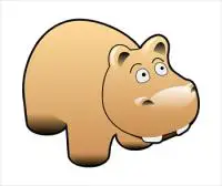 hippo-5