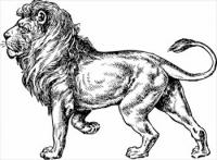 Lion-BW-sketch