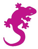 lizard-icon-pink