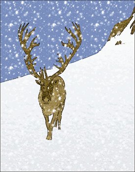 reindeer-on-slope