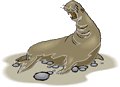 Elephant-Seal-3