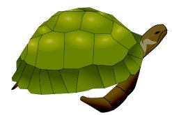 sea-turtle-1