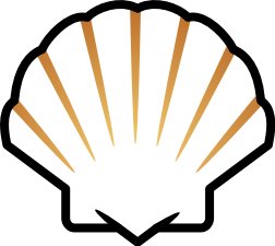 seashell