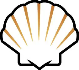 seashell