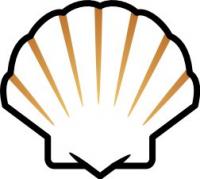 seashell