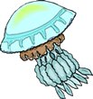 Jellyfish-08