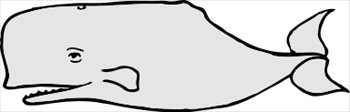 whale
