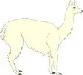 Llama-1