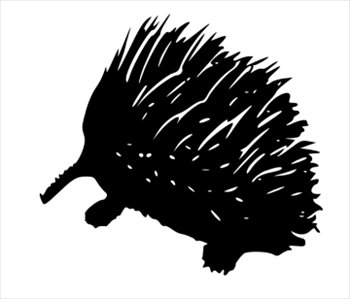 porcupine-contor
